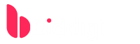 Biddigi